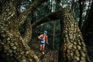 BIB: 
                            <button type="button" onclick="openModal(25675666)" class="btn btn-primary btn-sm float-right btn-popup" data-toggle="modal" data-target=".modal-high-quality">
                        <i class="fas fa-shopping-cart"></i> Add to Cart
                    </button>
                                            <button type="button" onclick="isThisMe(25675666, true)" class="btn btn-success btn-sm float-right btn-popup btn-isme hidden" data-toggle="tooltip" data-placement="bottom" title="นี่คือรูปของคุณใช่ไหม คลิกที่นี่เพื่อเอาเข้าอัลบั้ม">
                        <i class="fas fa-plus"></i> Add to album
                    </button>
                    <button type="button" onclick="isThisMe(25675666, false)" class="btn btn-warning btn-sm float-right btn-popup btn-isnotme hidden">
                        <i class="fas fa-ban"></i> Remove from album
                    </button>